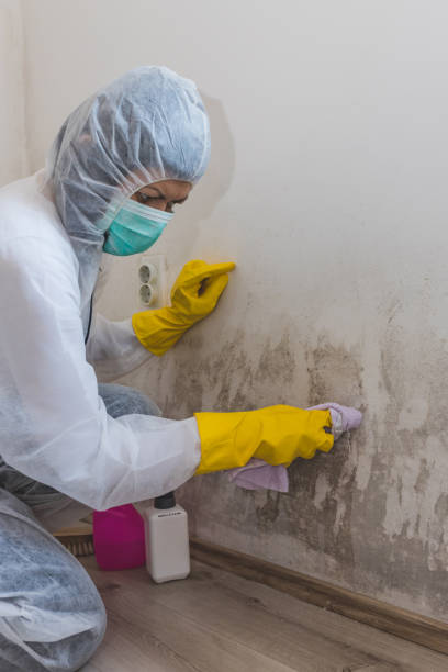 Best Mold-Related Health Consultation  in Montz, LA