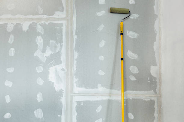 Best Attic Mold Removal  in Montz, LA