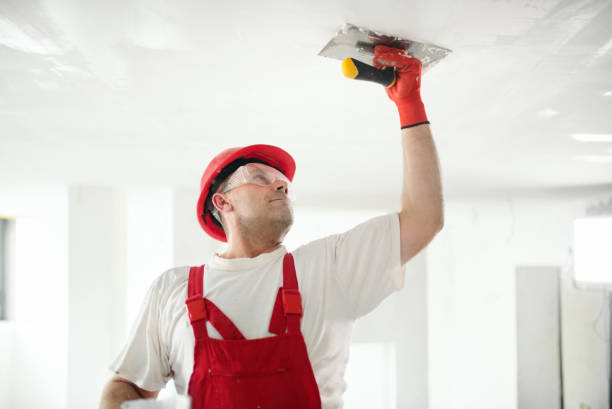 Best Mold Removal for HVAC Installations  in Montz, LA