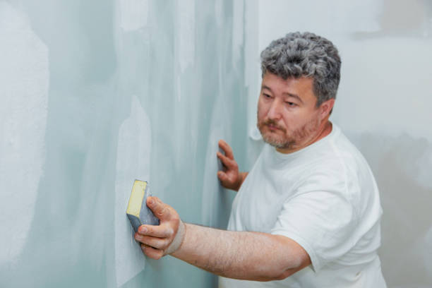 Best Mold Prevention Services  in Montz, LA