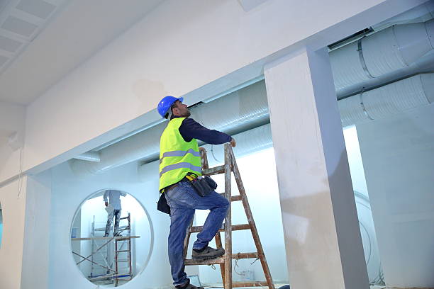 Best Attic Mold Removal  in Montz, LA