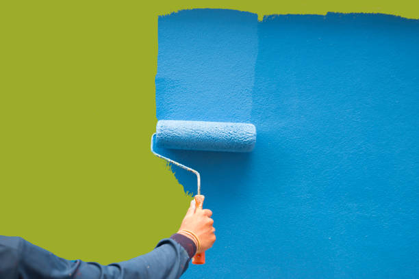 Best Mold Odor Removal Services  in Montz, LA